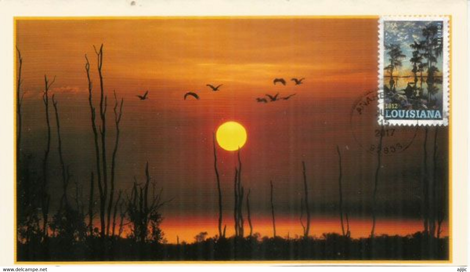 Louisiana | Beautiful Landscape At Sunset.  Maximum-card - Maximumkarten (MC)