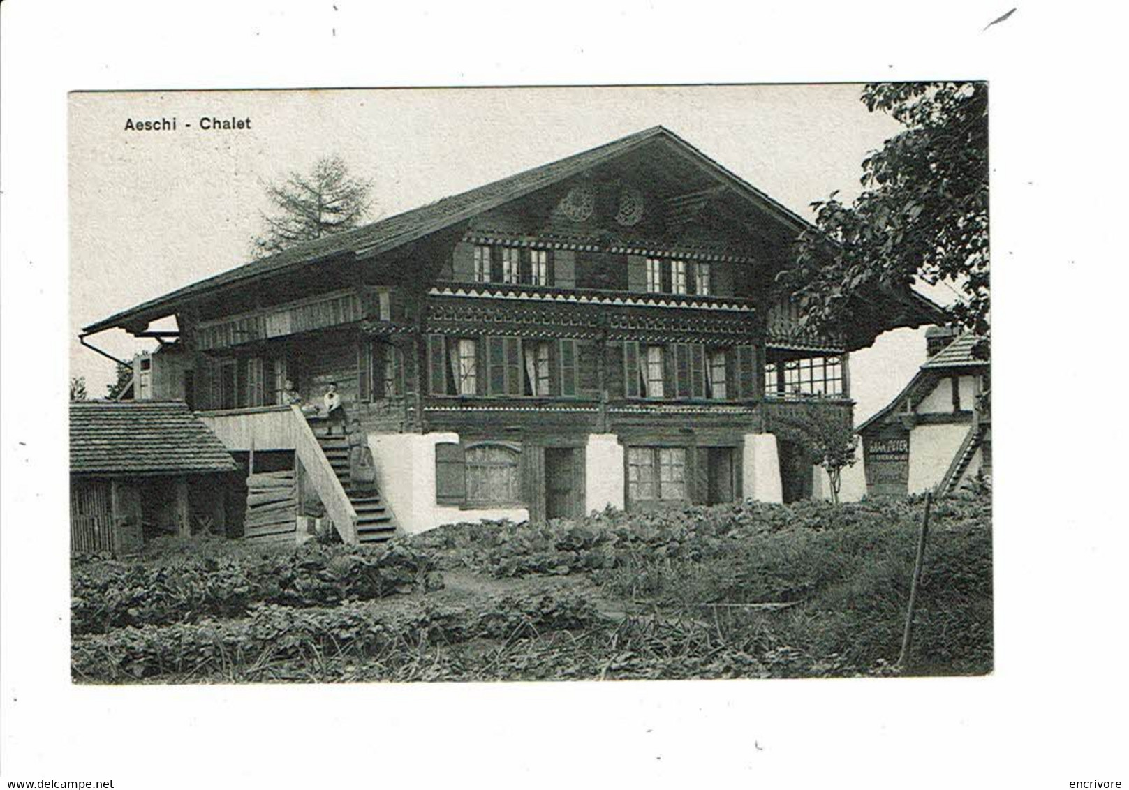 Cpa AESCHI Chalet Famille à La Pose Wafler Wiss éditeurs - Aeschi Bei Spiez