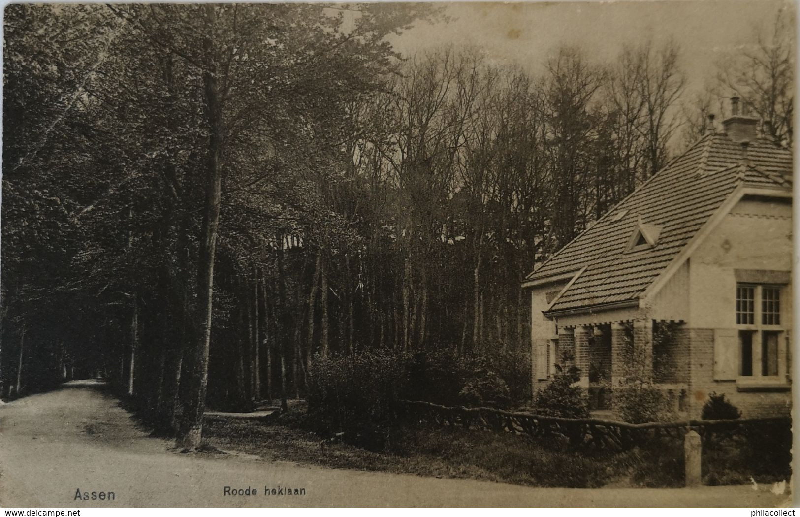 Assen // Roode Heklaan 1920 - Assen