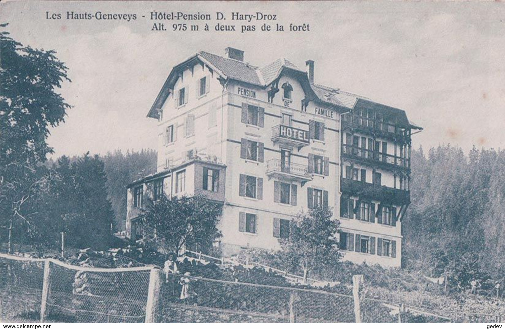 Les Hauts-Geneveys NE, Hôtel Pension D. Hary-Droz (975) - Les Hauts-Geneveys