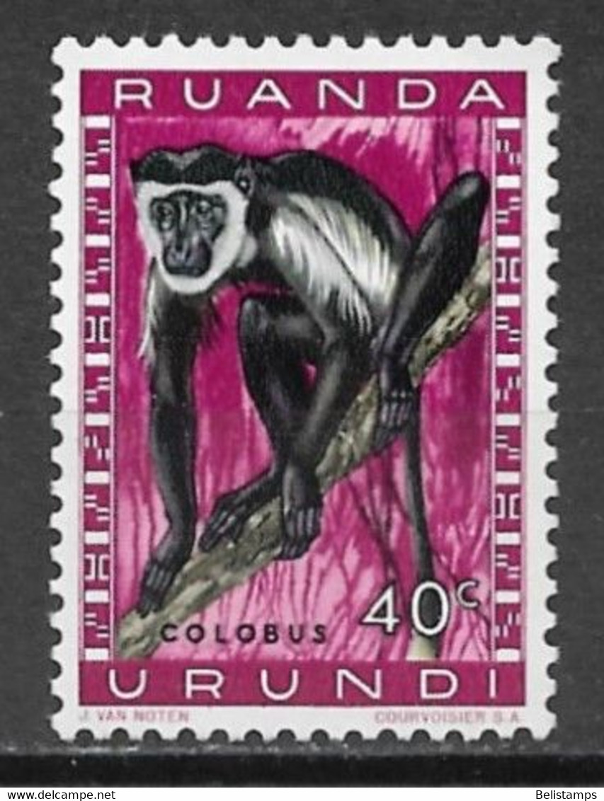 Ruanda-Urundi 1959. Scott #139 (MH) Fauna, Black-and-white Colobus (Monkey) - Ongebruikt