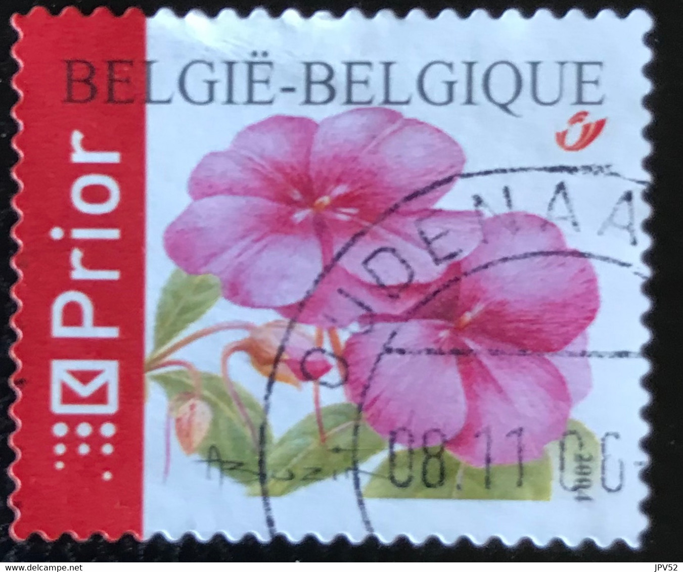 België - Belgique  - C9/59 - (°)used - 2004 - Michel 3367A - Impatiens - Used Stamps