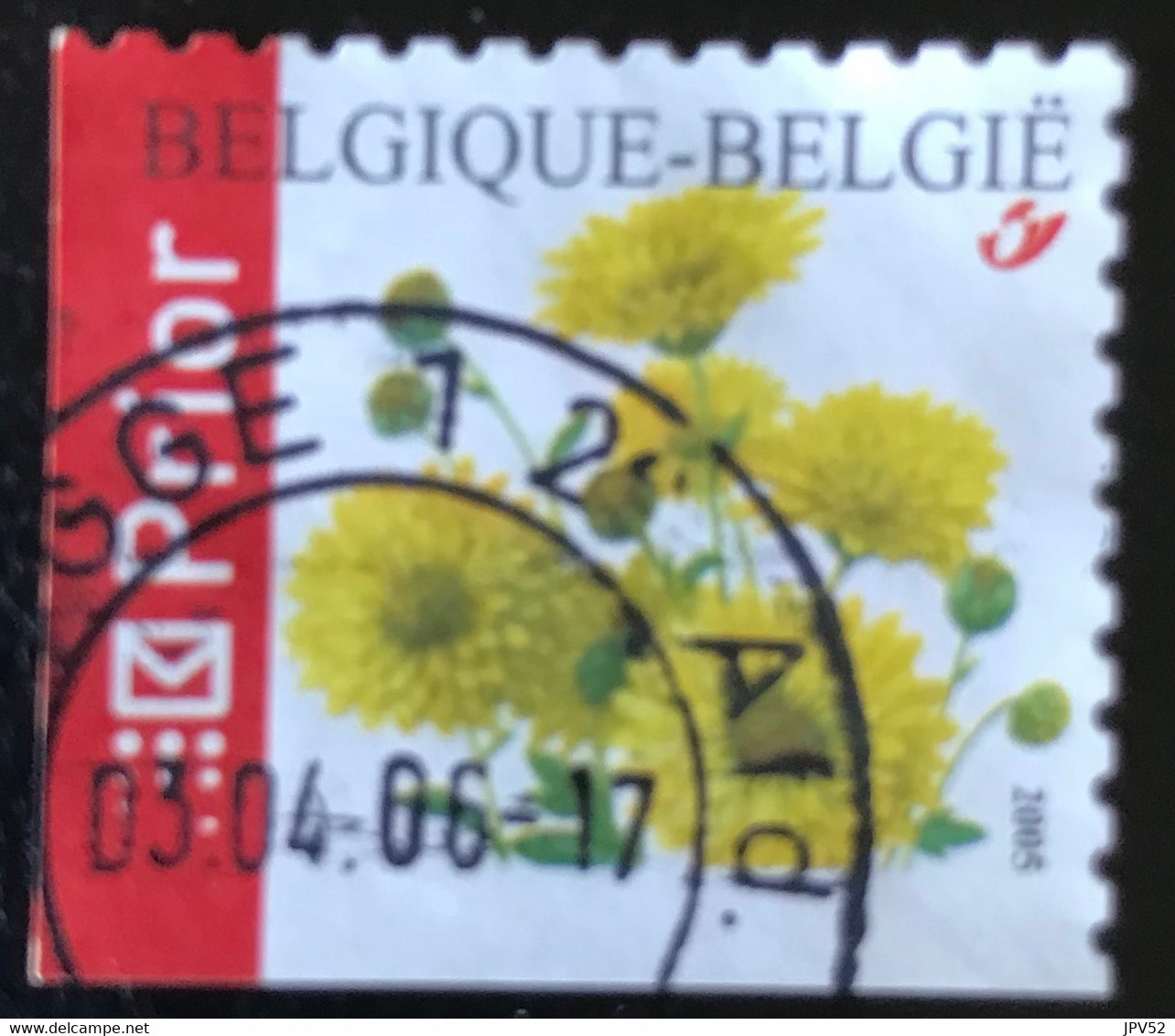 België - Belgique  - C9/59 - (°)used - 2005 - Michel 3454 BEu - Chrysant - Used Stamps