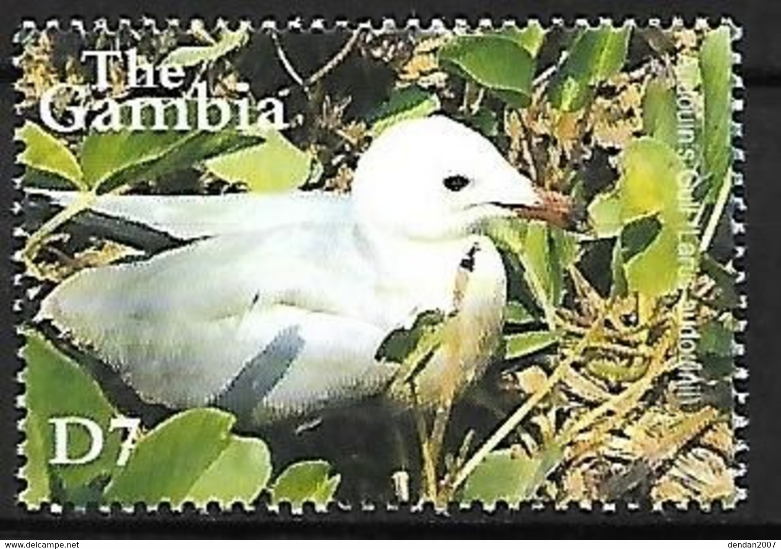 Gambia - MNH **  2001 :   Audouin's Gull -   Ichthyaetus Audouinii - Mouettes