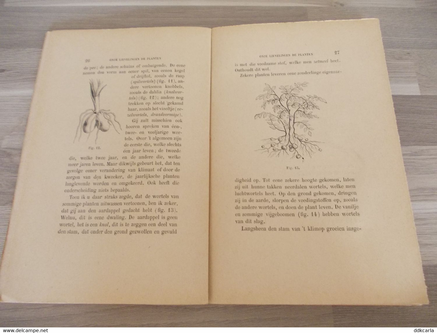 Antiek Boek Onze Lievelingen DE PLANTEN Door P. Monplaisir Vertaald Door Frans Van Cuyck - Vecchi