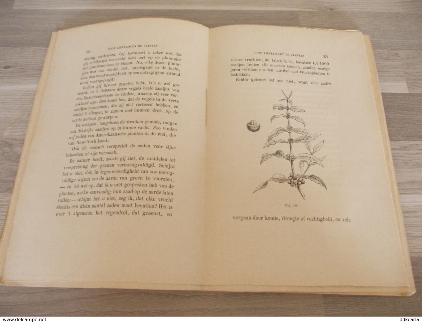 Antiek Boek Onze Lievelingen DE PLANTEN Door P. Monplaisir Vertaald Door Frans Van Cuyck - Antiquariat