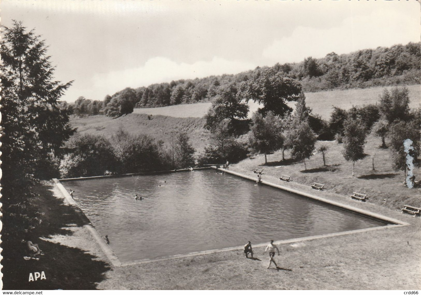 Cpsm Montredon Labessonie La Piscine - Montredon Labessonie