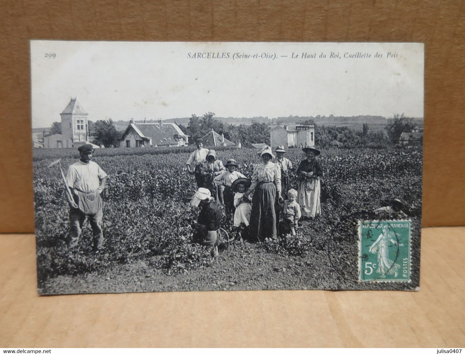 SARCELLES (95) Le Haut Du Roi Cueillette Des Pois Gros Plan - Sarcelles