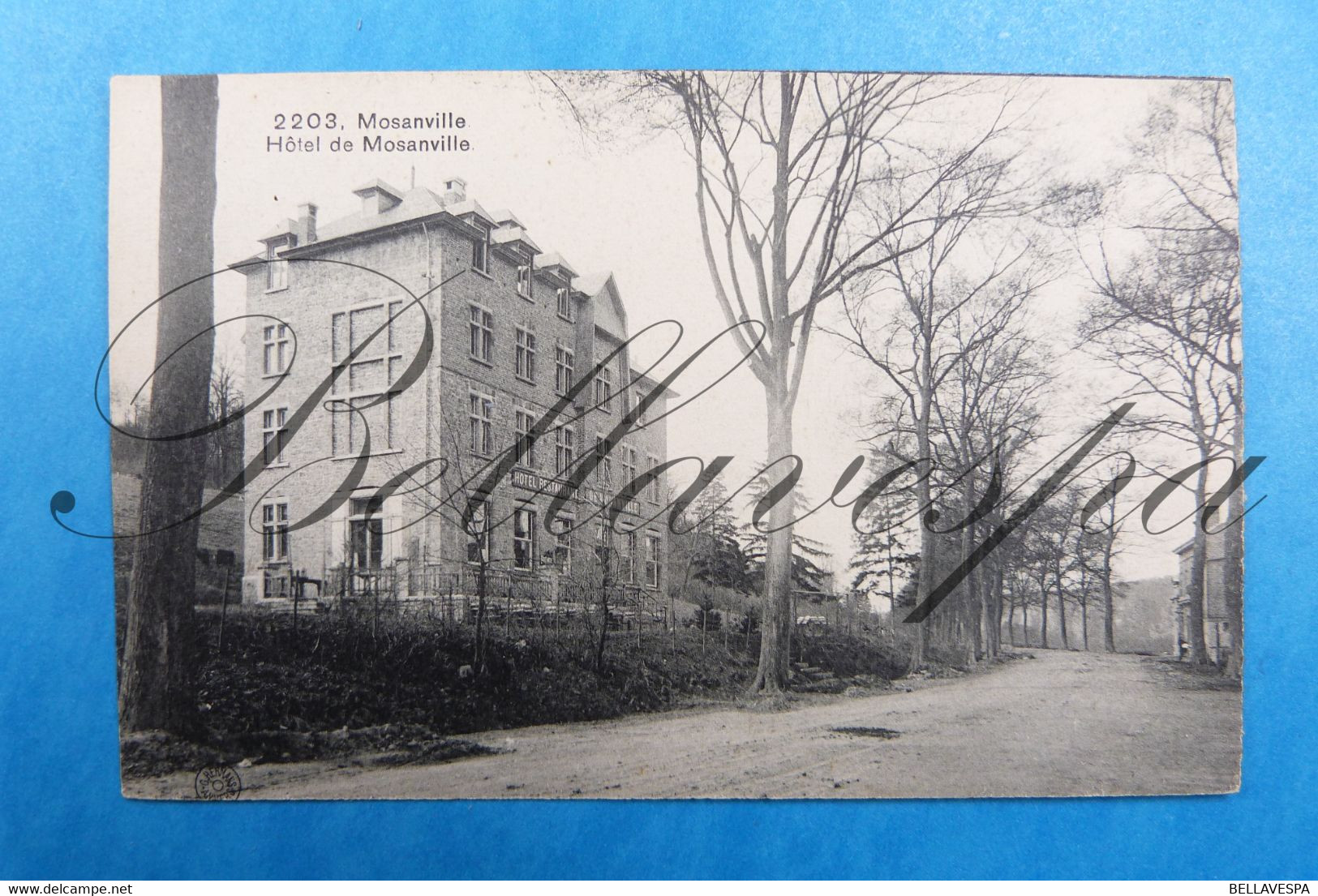 Mosanville Hôtel . N°2203 édit. G.Hermans Antw. - Namur