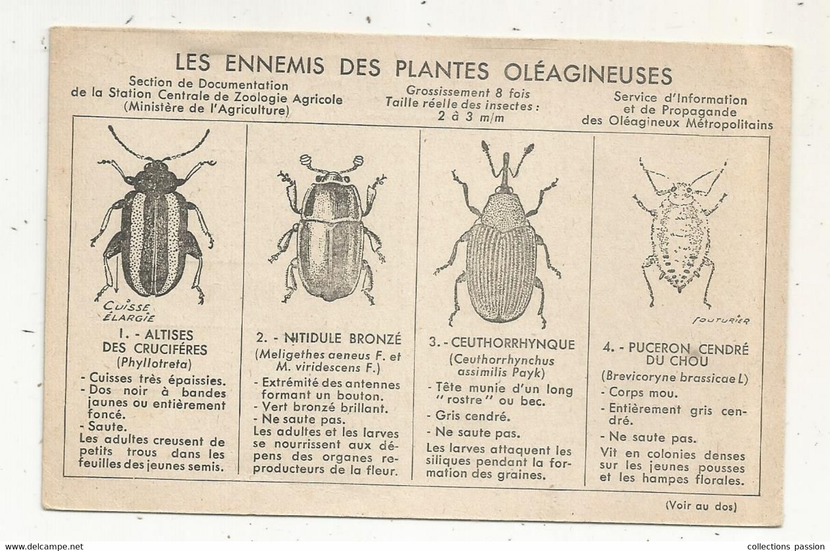 Cp , Agriculture, Culture, LES ENNEMIS DES PLANTES OLEAGINEUSES , Zoologie Agricole,  Voyagée - Landwirtschaftl. Anbau