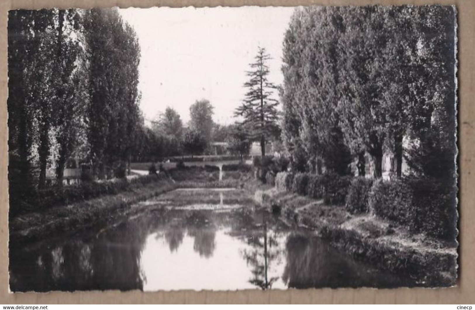 CPSM 78 - CARRIERES SUR SEINE - Carrières-sur-Seine - Vue Du Parc - TB PLAN CENTRE VILLAGE 1955 - Carrières-sur-Seine