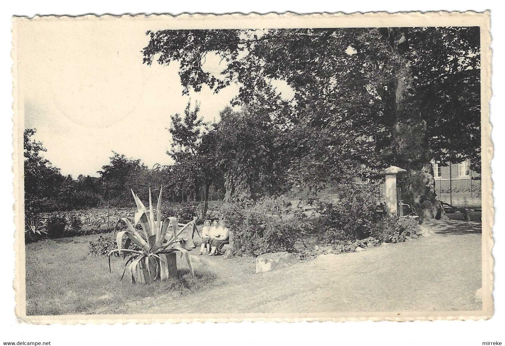 @c1@  -  HOEGAARDEN  -  Pensionnat Du Val Virginal  -  Een Schilderachtig Hoekje In Het Park  -  Zie / Voir Scan - Högaarden