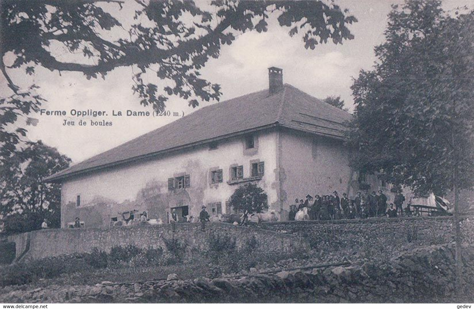 Val De Ruz NE, Ferme La Dame, Famille Oppliger, Jeu De Boules (4821) - Val-de-Ruz