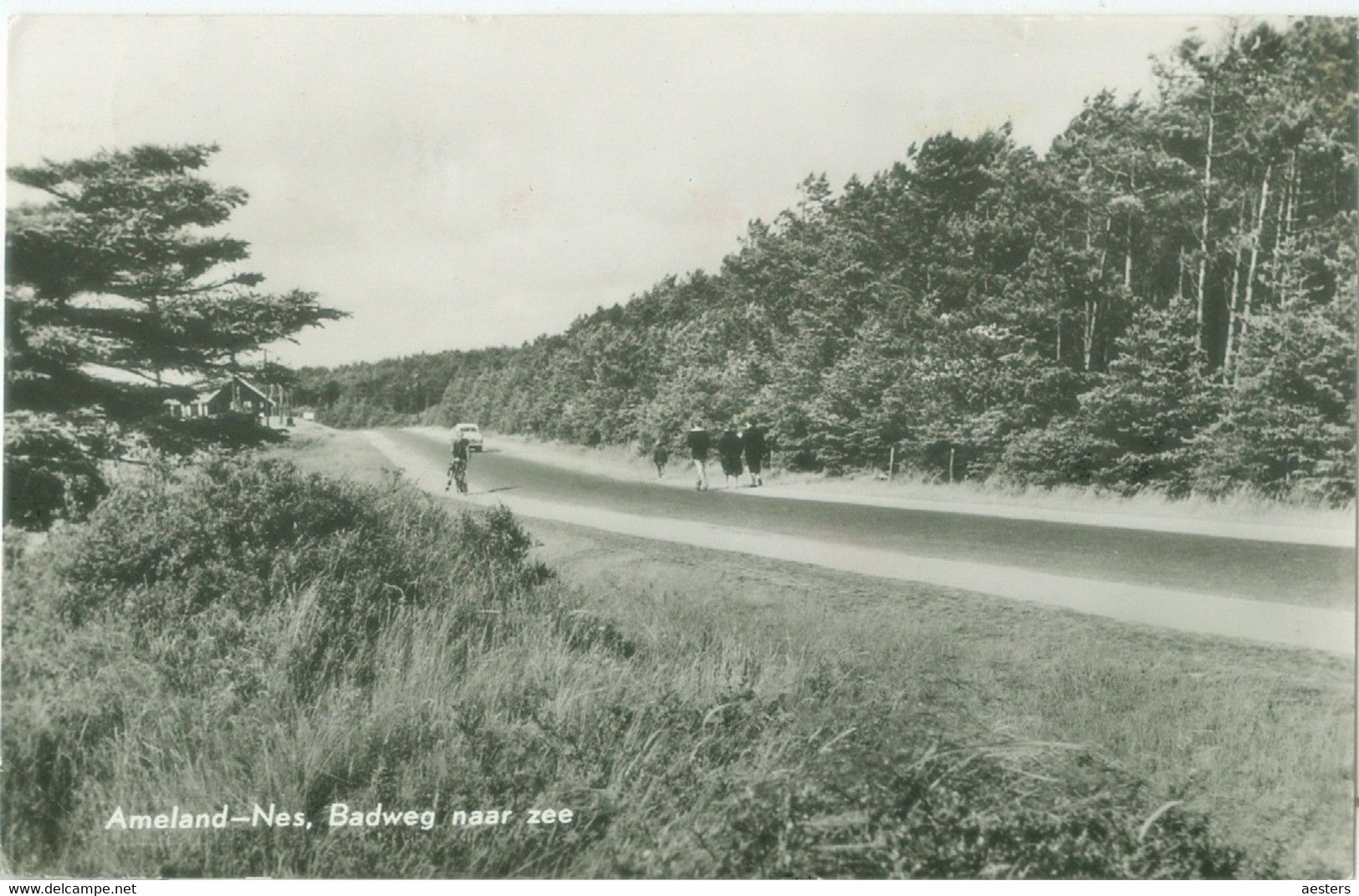 Ameland 1965; Nes. Badweg Naar Zee - Gelopen. (van Leer) - Ameland