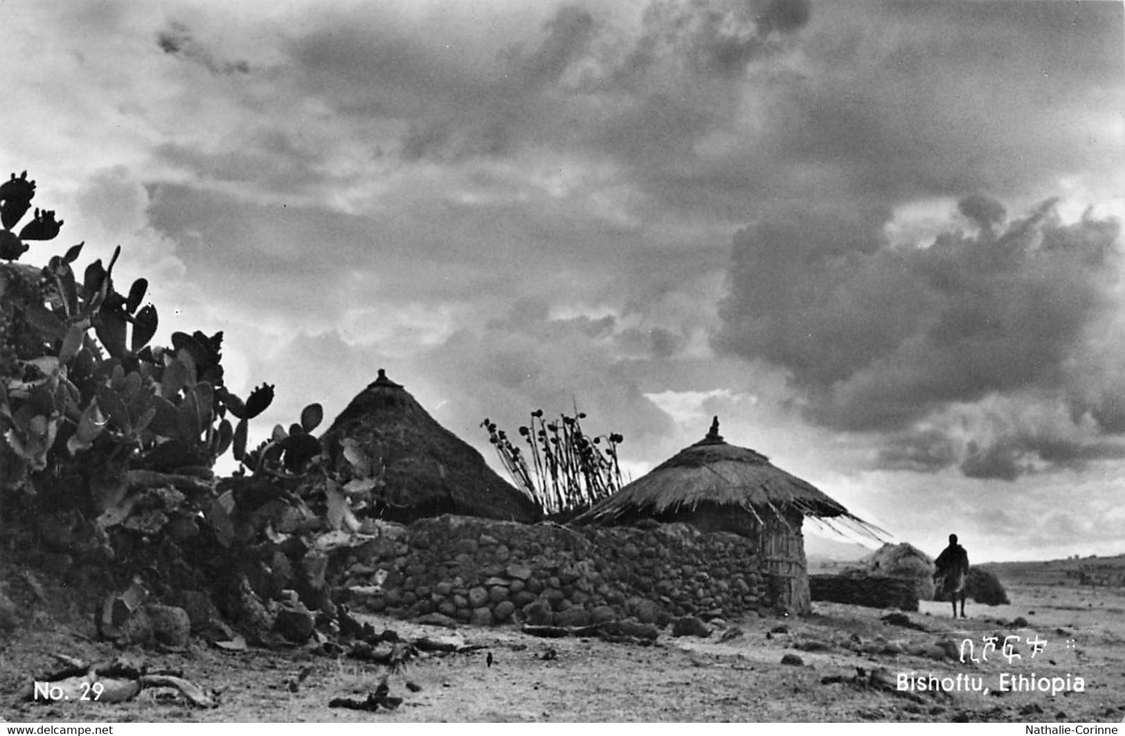 Tukuls On The Road To Bishoftu, Ethiopia - éthnie - Ethiopie - Animé - Ethiopie