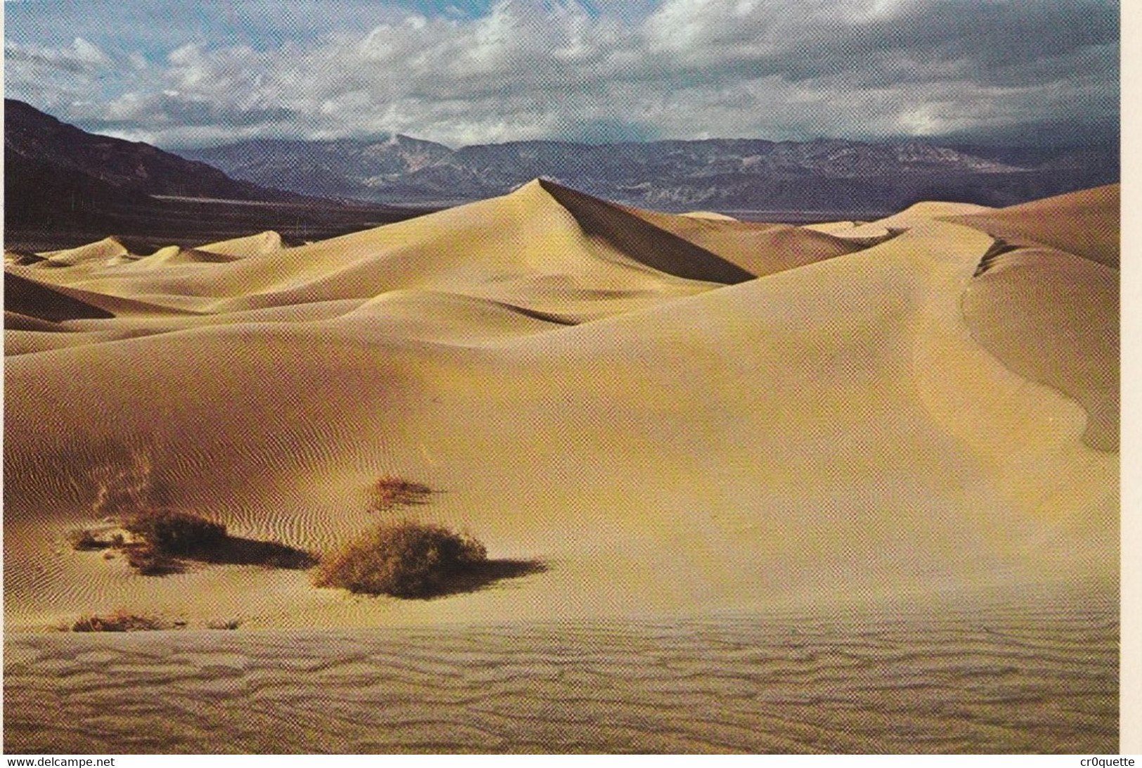 ETATS UNIS - CALIFORNIE - VALLEE DE LA MORT / DEATH VALLEY NATIONAL MONUMENT - Death Valley