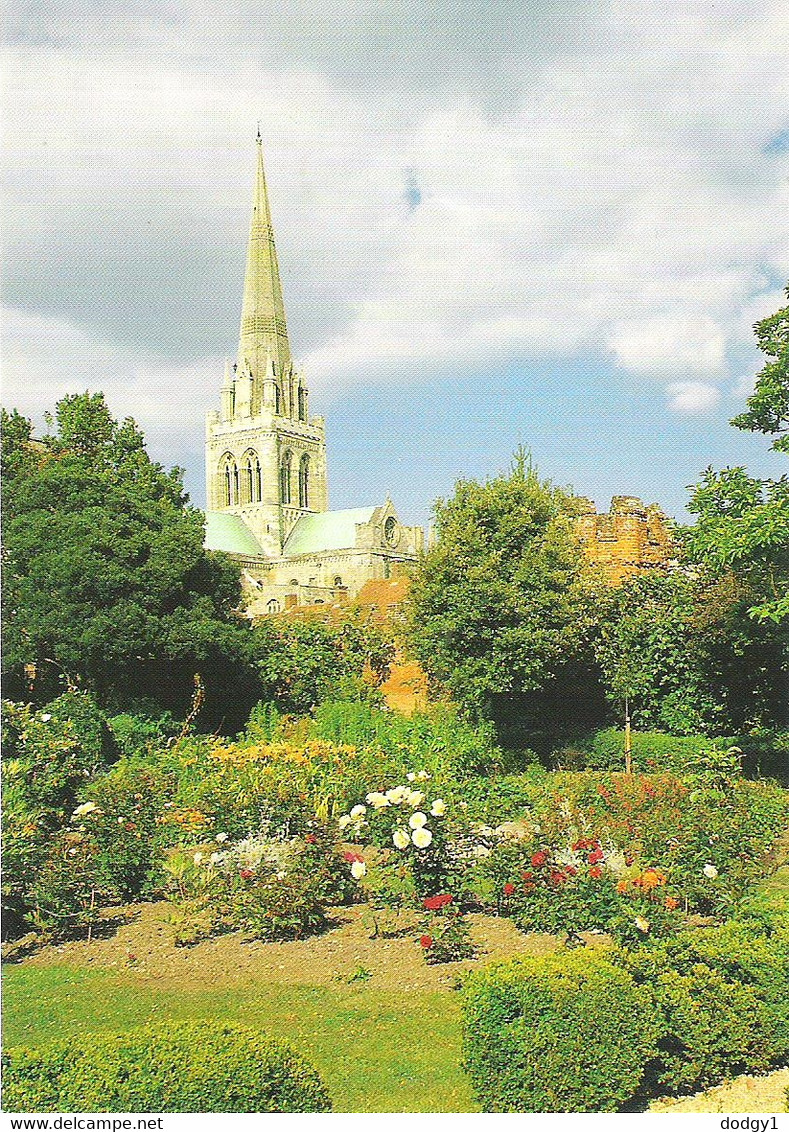 CHICHESTER CATHEDRAL, CHICHESTER, SUSSEX, ENGLAND. UNUSED POSTCARD Lg2 - Chichester