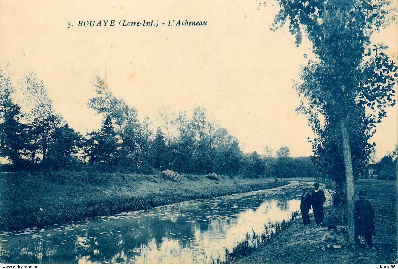 Bouaye * L'acheneau - Bouaye