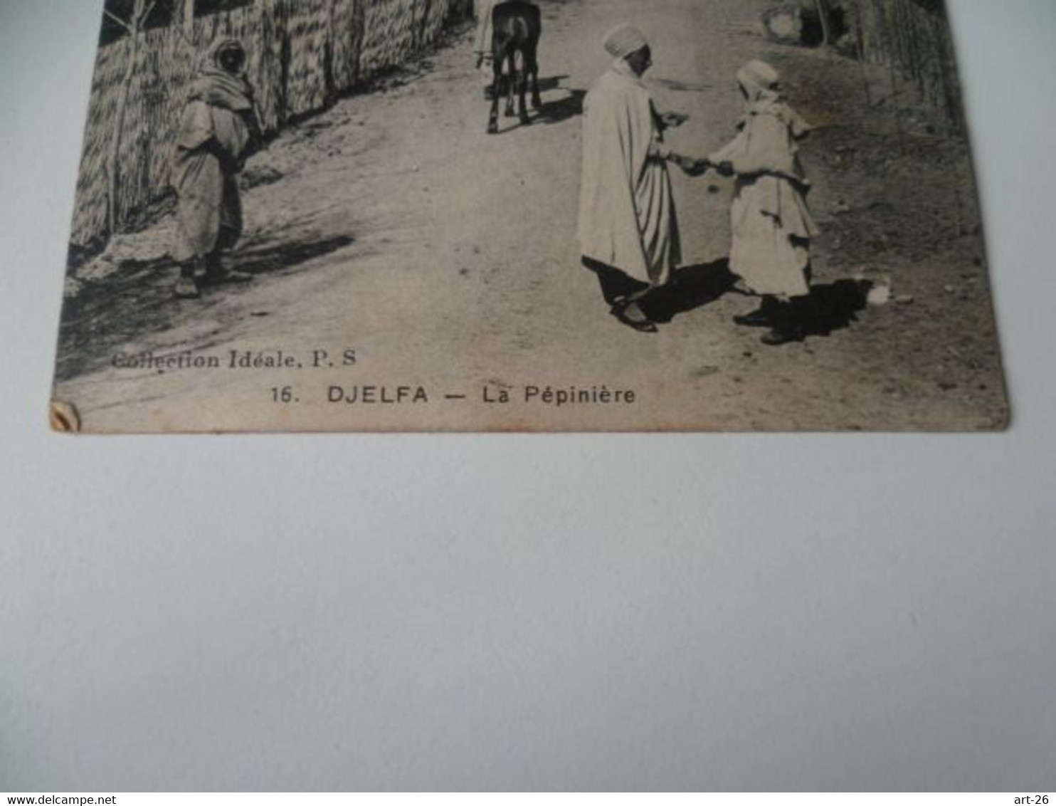 DJELFA  LA PEPINIERE - Djelfa