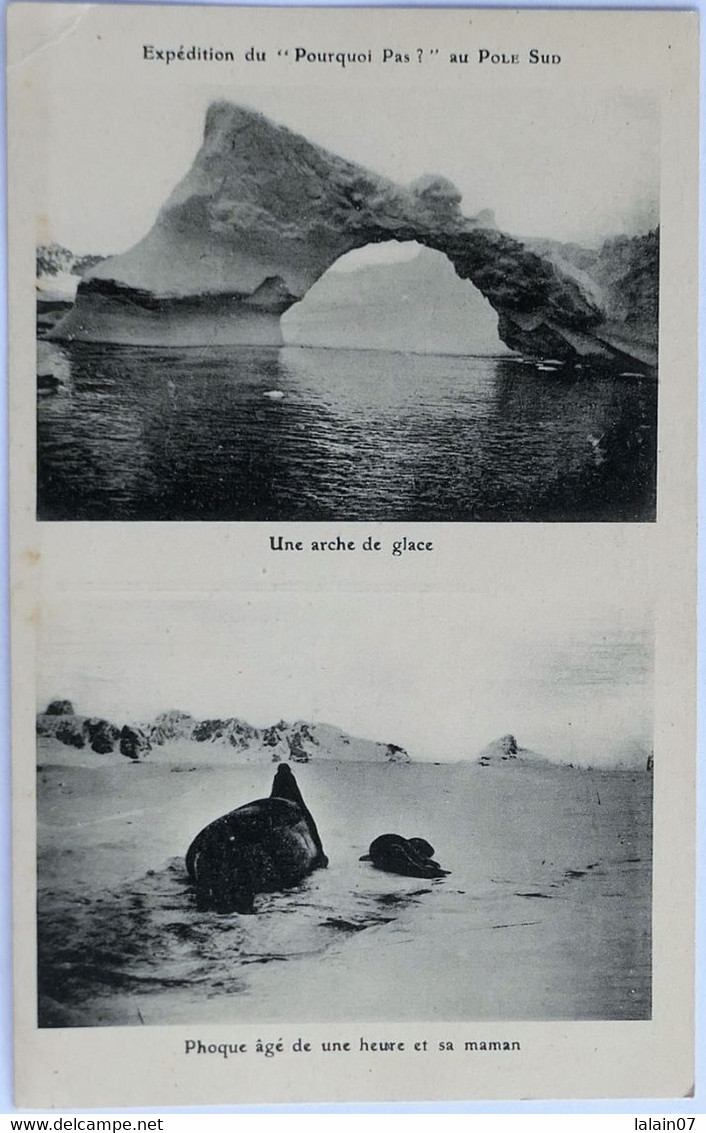 C. P. A. : CHARCOT : Expédition Du "POURQUOI PAS ?" Au Pole Sud, "Arche De Glace", "Phoque âgé De Une Heure Et Sa Maman" - TAAF : Franz. Süd- Und Antarktisgebiete