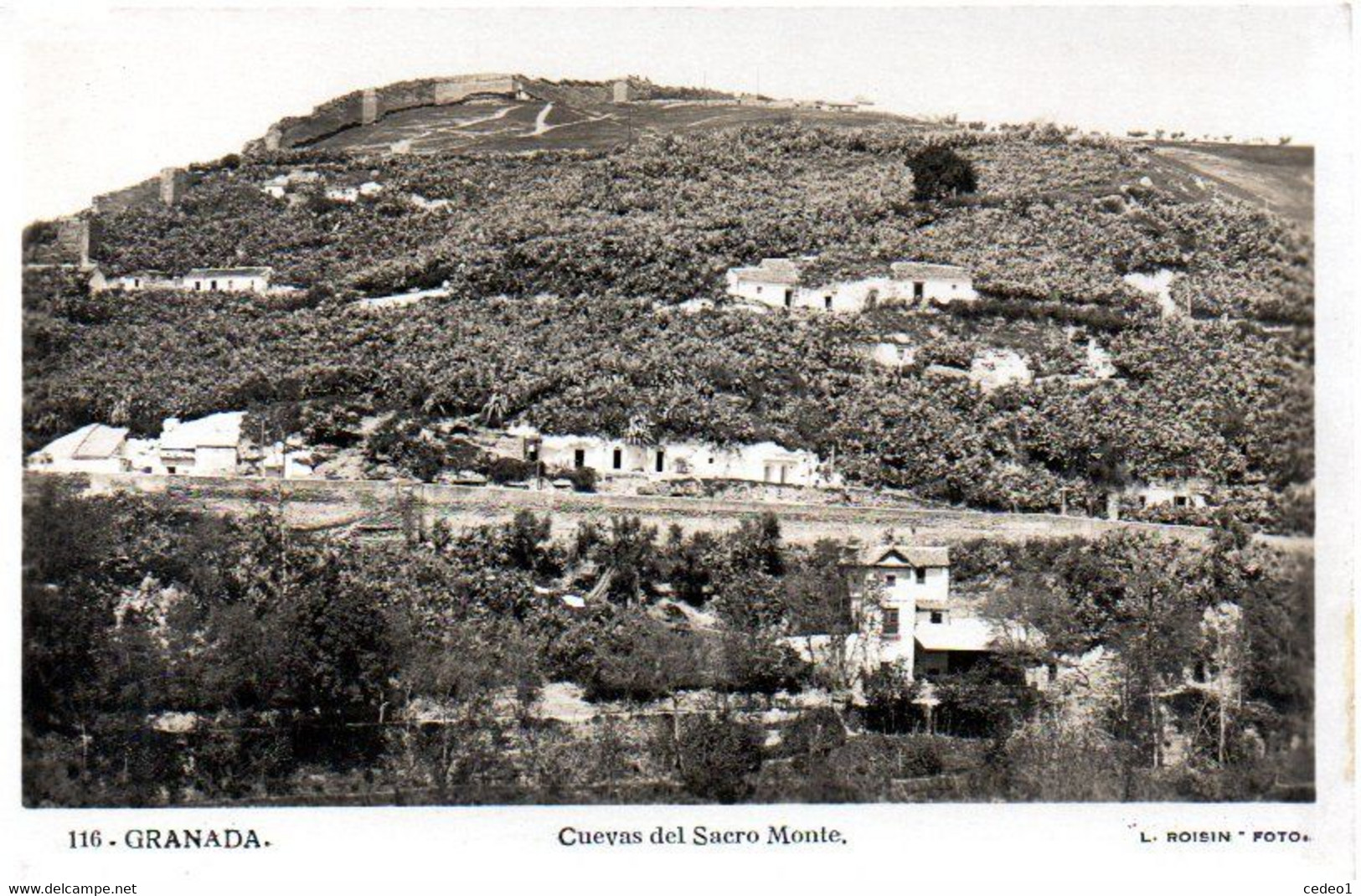 GRENADA  CUEVAS DEL SACRO MONTE    CARTE EN L'ETAT  UN PEU GRIGNOTEE - Grenada