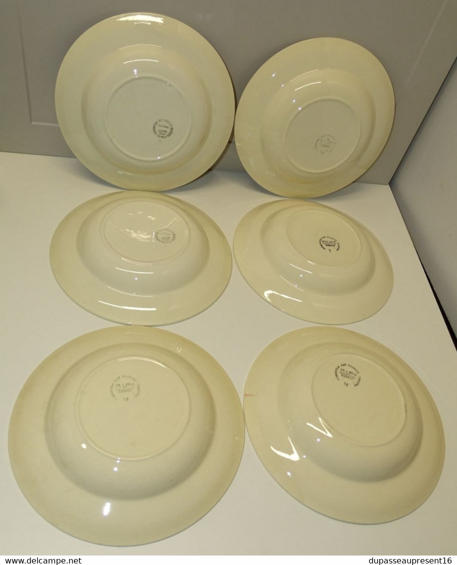 *6 ASSIETTES DEMI CREUSES LE CONSORTIUM LES GRANDES MARQUES DIGOIN TULIPE  E