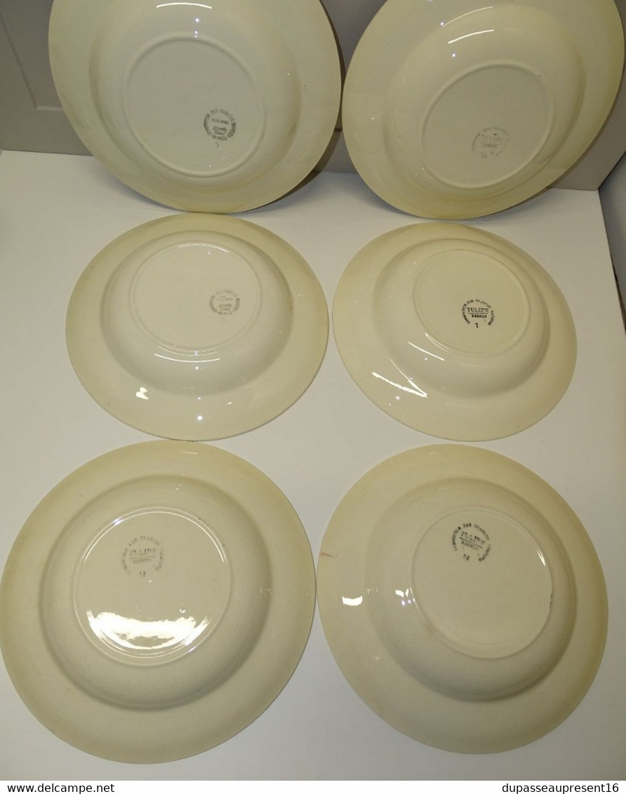 *6 ASSIETTES DEMI CREUSES LE CONSORTIUM LES GRANDES MARQUES DIGOIN TULIPE  E