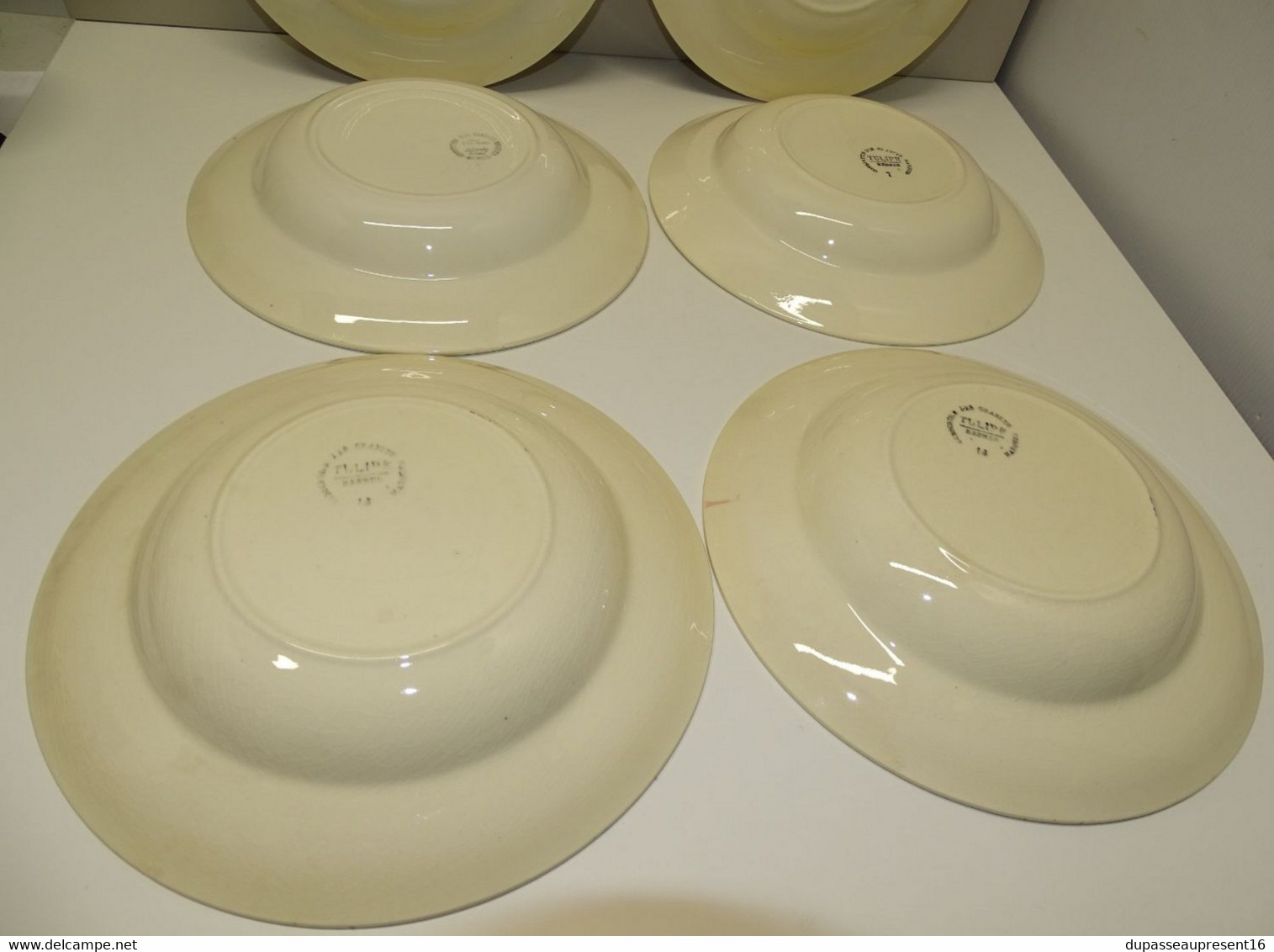 *6 ASSIETTES DEMI CREUSES LE CONSORTIUM LES GRANDES MARQUES DIGOIN TULIPE  E