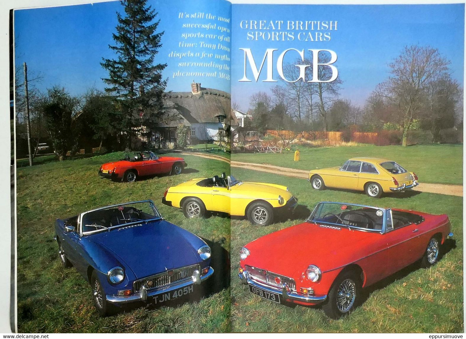 THOROUGHBREED & CLASSIC CARS 06-1995 MGB BMW SAAB TURBO FIAT ABARTH V8s - Trasporti