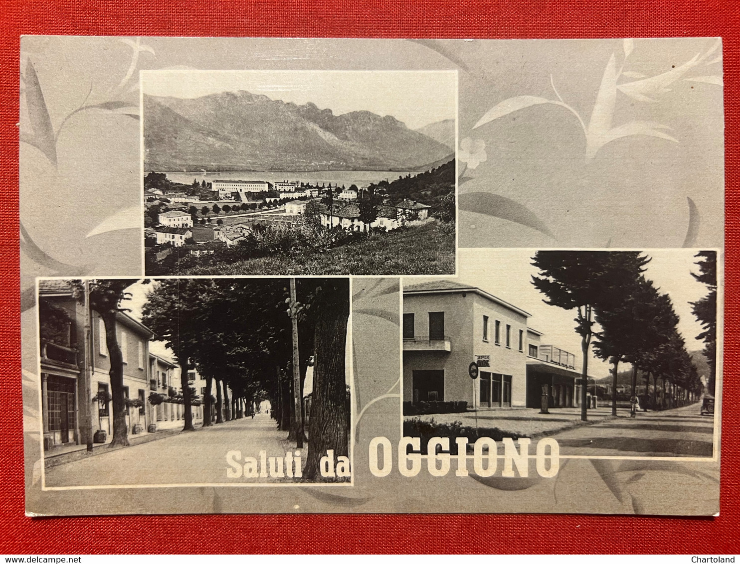 Cartolina - Saluti Da Oggione ( Lecco ) - Vedute Diverse - 1950 Ca. - Lecco