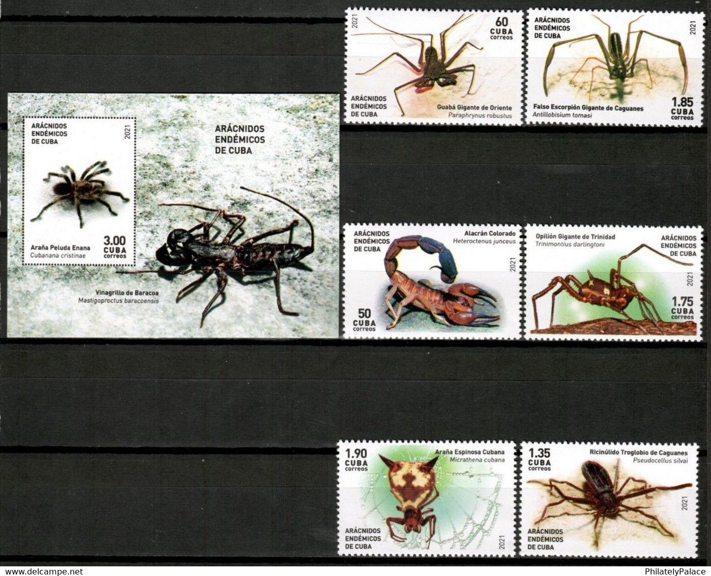 CUBA 2021 *** Insects Spiders Arachnids 6 V Stamps + 1 MS MNH (**) Limited Edition - Neufs