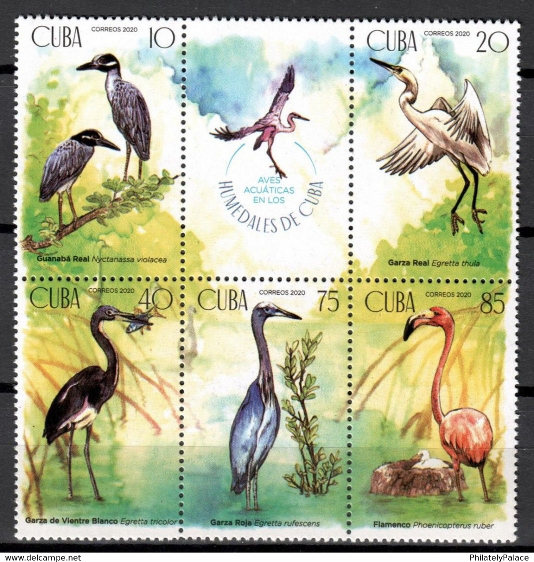 CUBA 2020 ***  Birds MNH Vögel Aves Uccelli Oiseaux Flamingo 4 V Stamps   MNH (**) Limited Edition - Neufs
