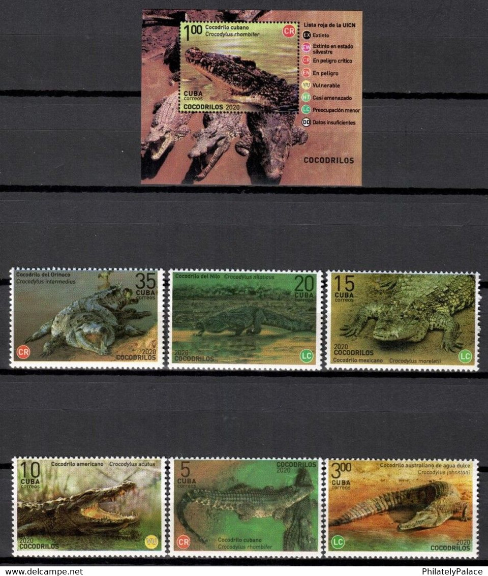 CUBA 2020 ***  Crocodiles Reptiles MNH 6v + 1 MS (**) Limited Edition - Nuevos