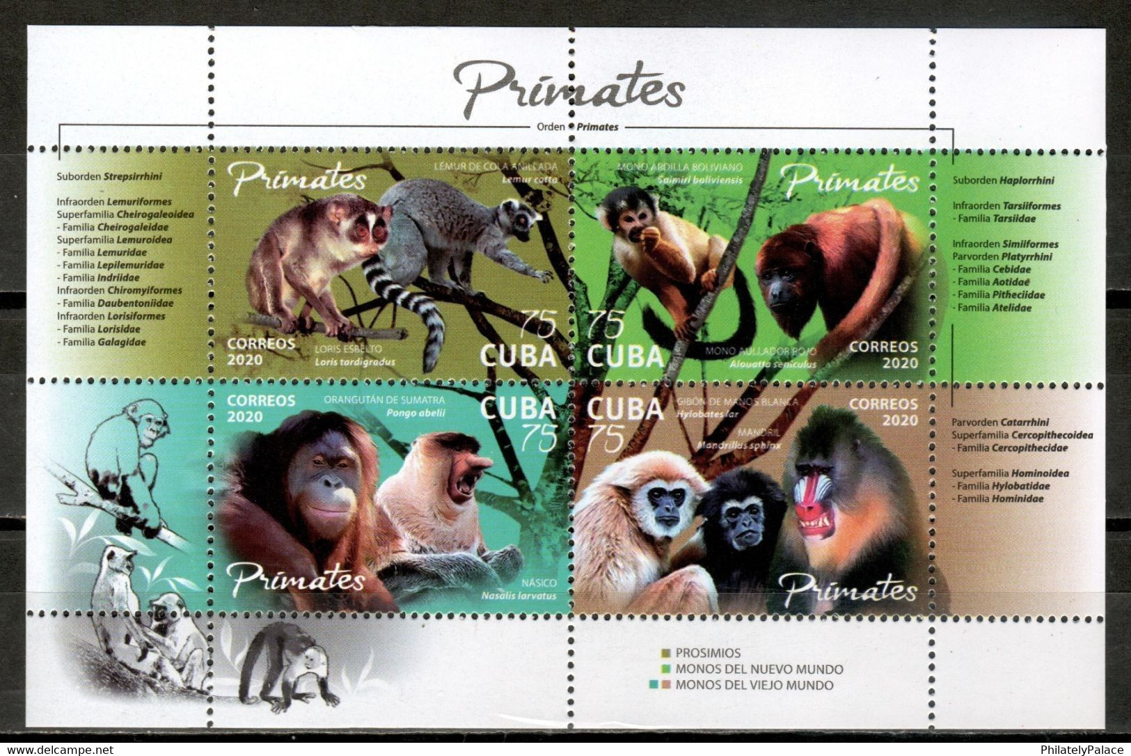 CUBA 2020 ***  Fauna Mammal Monkeys MNH (**) Limited Edition - Nuovi