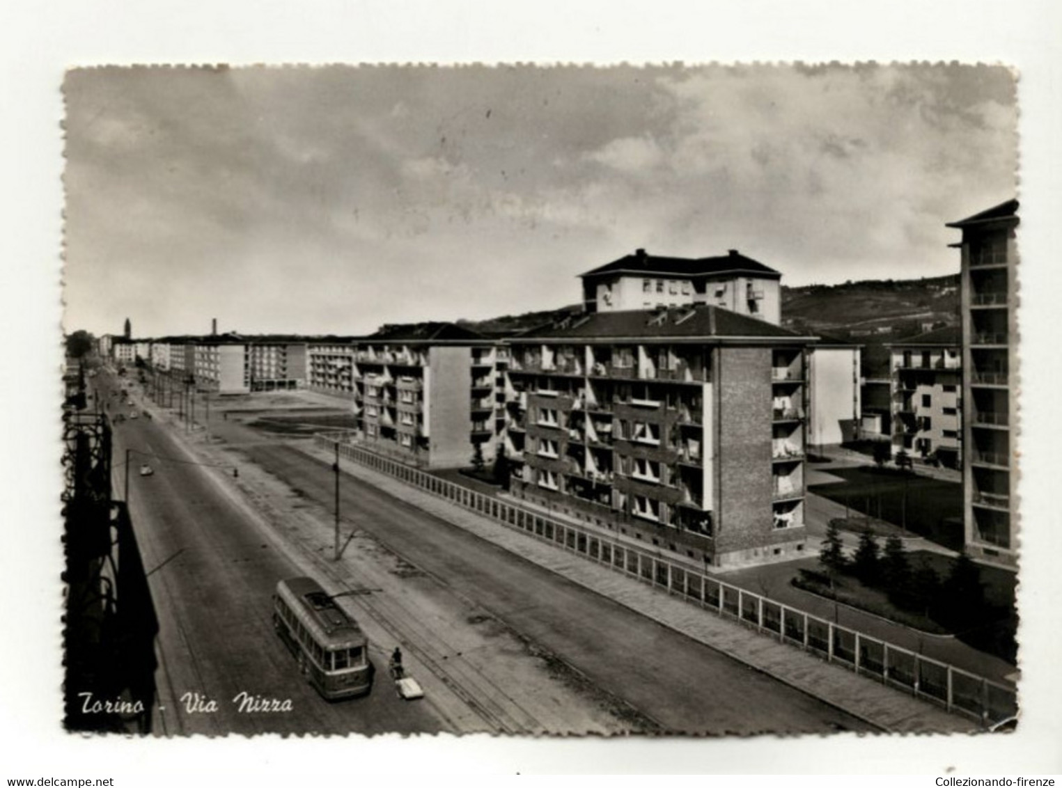 Cartolina Torino Via Nizza Filobus - Trasporti