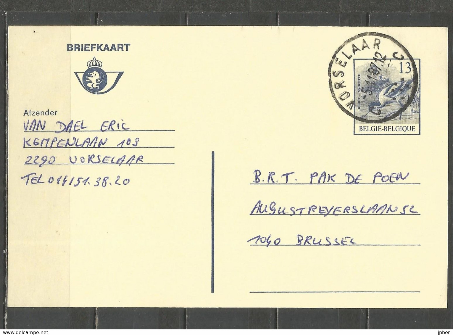 Belgique - Carte-Postale 13F BUZIN Avocette Obl VORSELAAR - Cartoline 1951-..