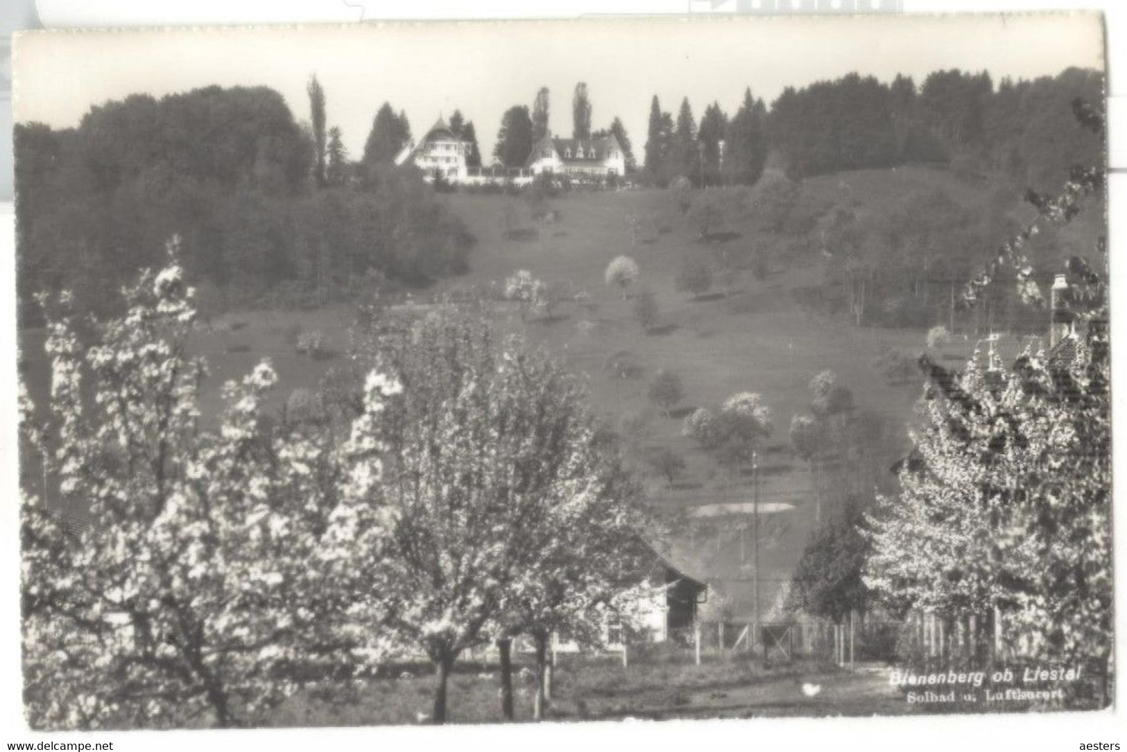 Bienenberg Ob Liestal; Solbad Und Luftkurort - Nicht Gelaufen. (Photoglob, Wehrli) - Liestal