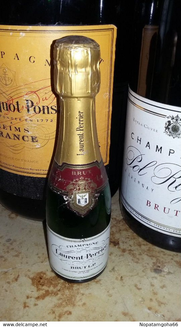 Bouteilles Factices 1/4 Et 1/2 - Champagner & Sekt