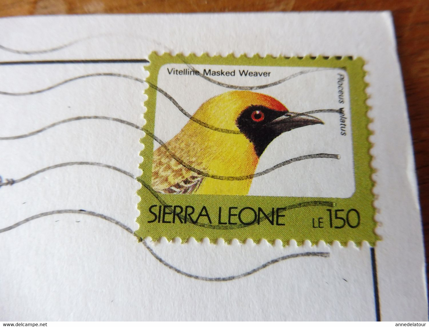 1994 CPA  timbre et cachet  Couleurs de la SIERRA LEONE  (Photo Jean-Pierre Daudier )