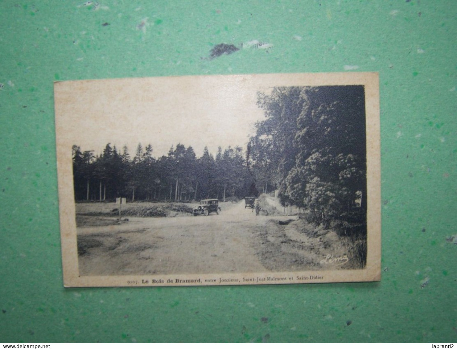 SAINT-DIDIER EN VELAY. HAUTE LOIRE. LES VOITURES. LES ARBRES. LE BOIS DE BRAMARD. - Saint Didier En Velay