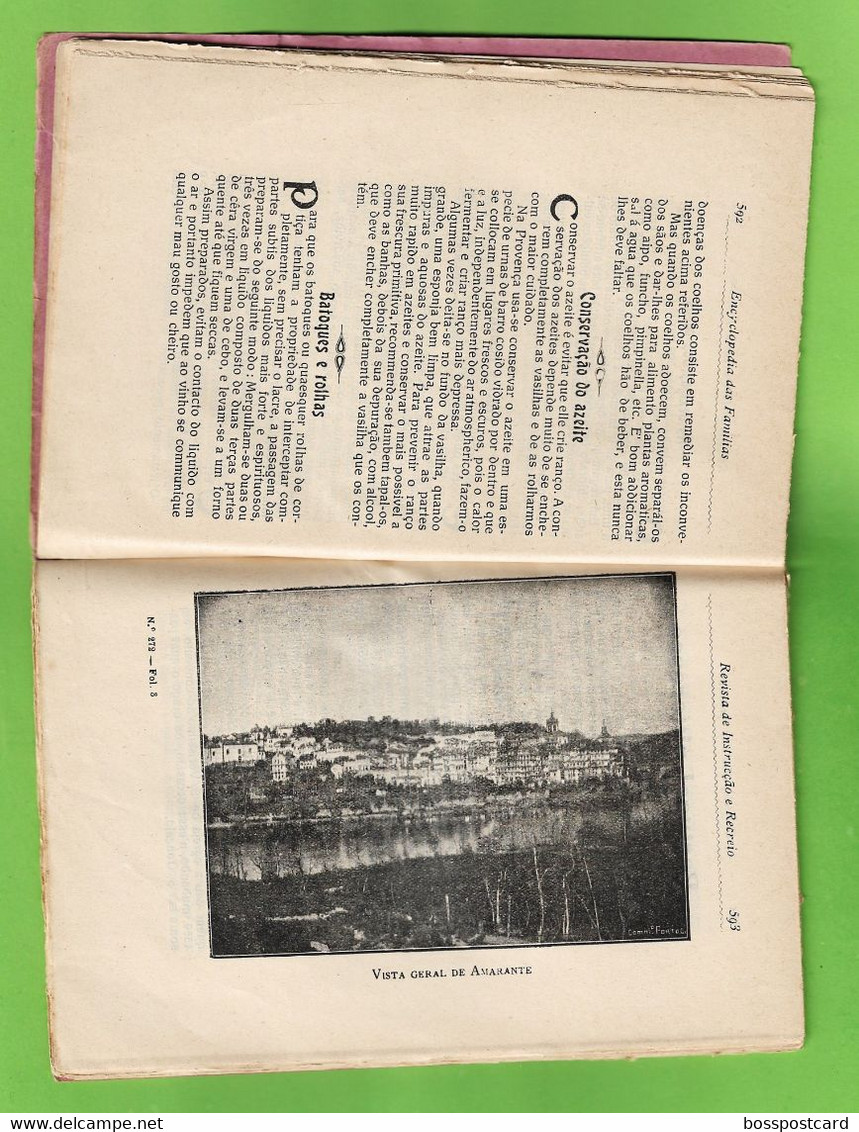 Amarante - Monção - Revista Ilustrada De Instrução E Recreio Nº 272 De 1909 - Portugal - Magazines