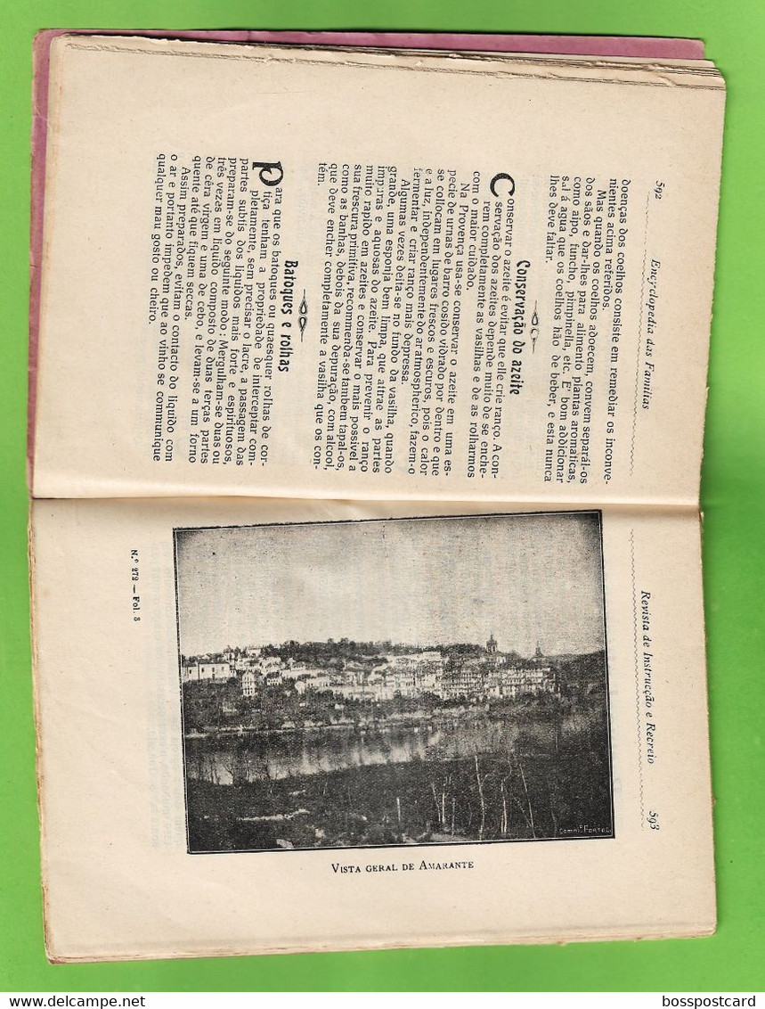 Amarante - Monção - Revista Ilustrada De Instrução E Recreio Nº 272 De 1909 - Portugal - Zeitungen & Zeitschriften