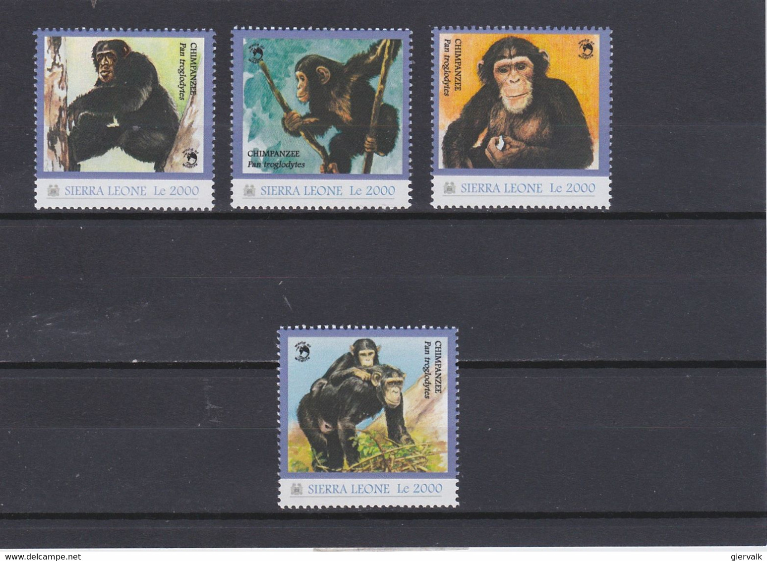 SIERRA LEONE CHIMPANZEES.MNH. - Chimpanzés