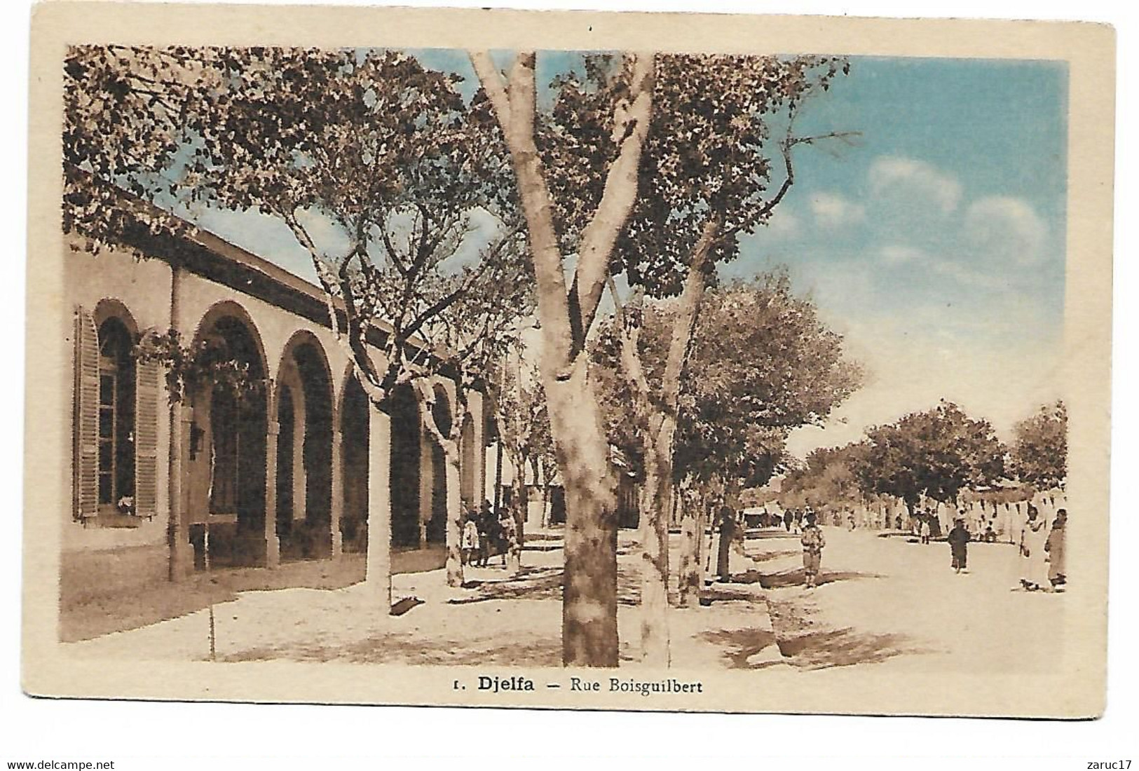 Carte Postale DJELFA  RUE BOISGUILBERT    Algerie - Djelfa