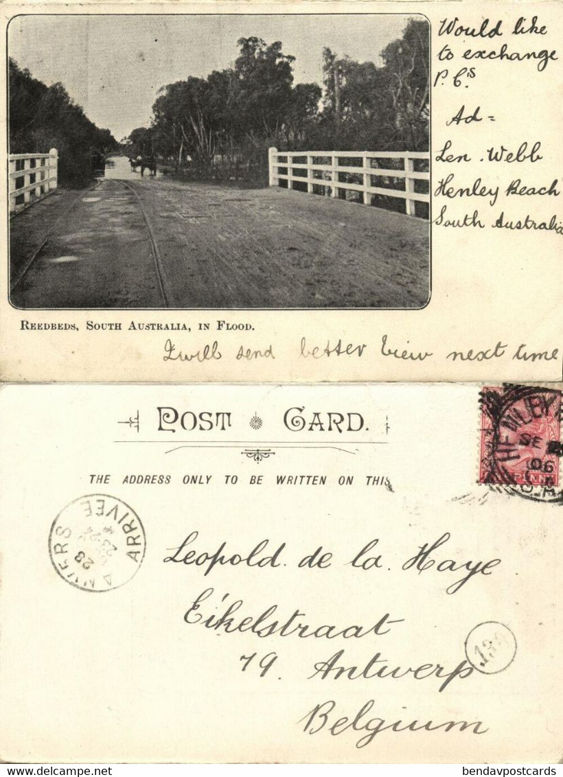Australia, SA, HENLEY BEACH, Village In Flood, Reedbeds (1906) Postcard - Autres & Non Classés