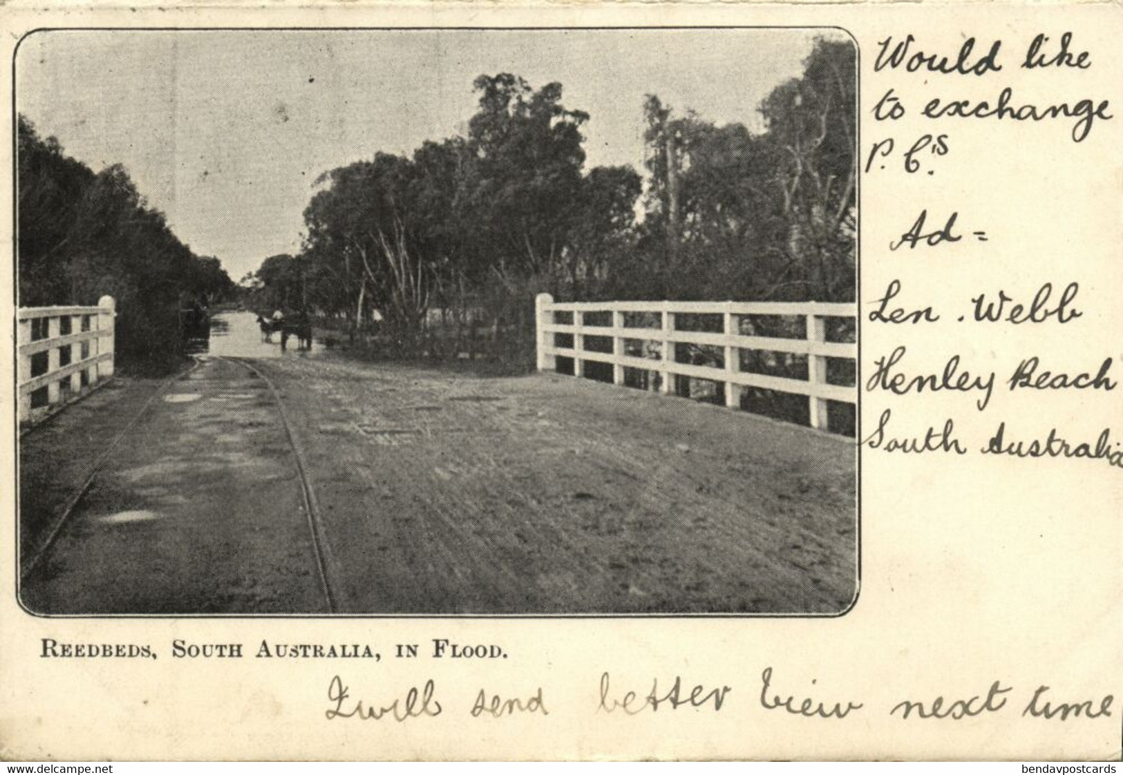 Australia, SA, HENLEY BEACH, Village In Flood, Reedbeds (1906) Postcard - Otros & Sin Clasificación