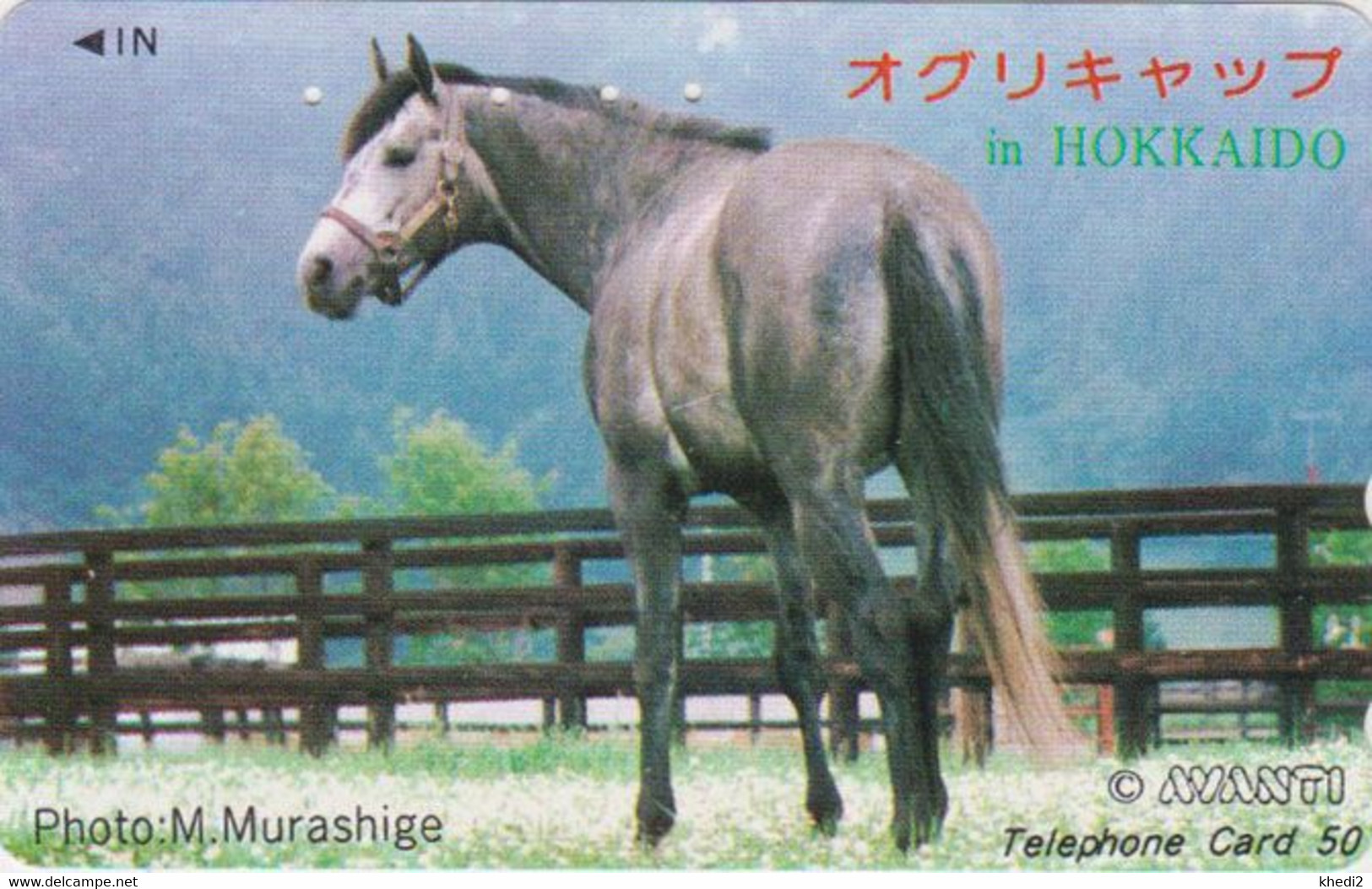 Télécarte JAPON / 110-016 -  ANIMAL - CHEVAL - HORSE JAPAN Phonecard - PFERD - 437 - Chevaux