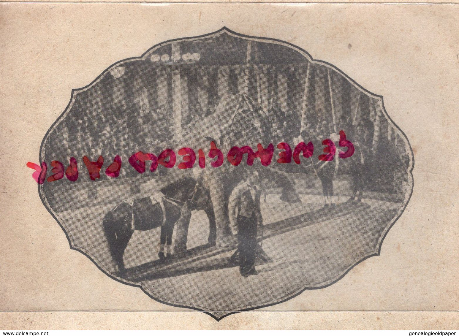 ELEPHANT - CHEVAL- BALANCOIRE CIRQUE - - Publicités