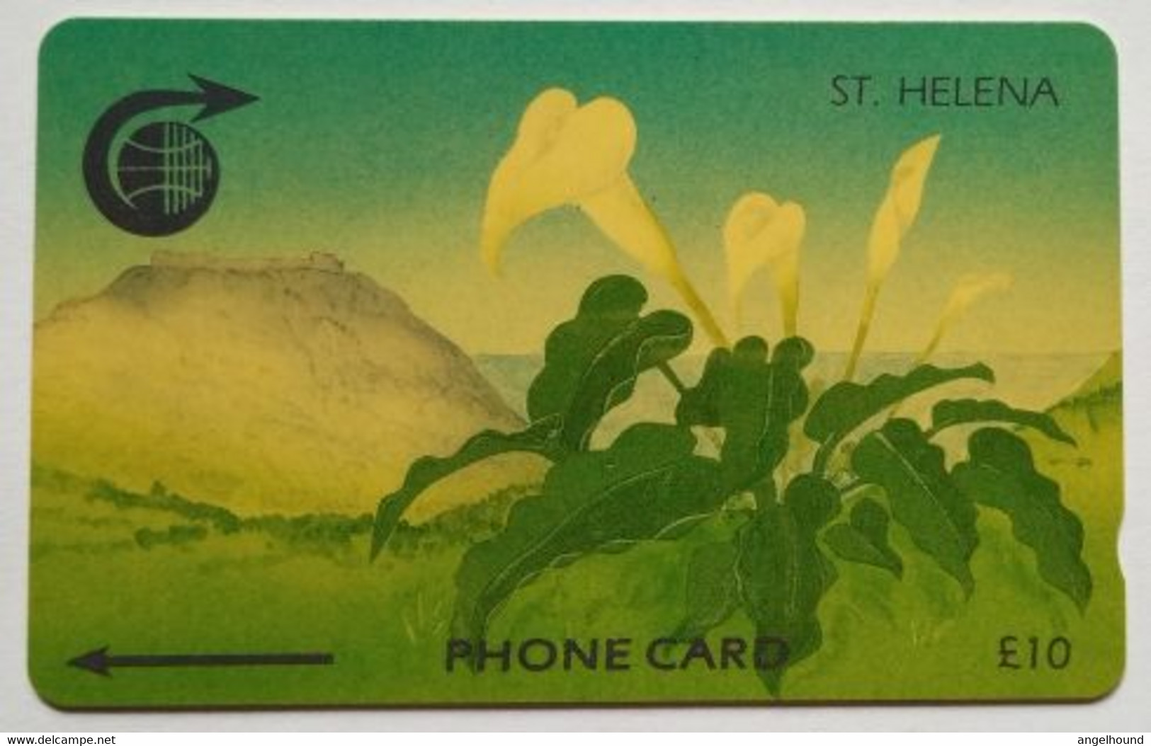 St. Helena Cable And Wireless £10 3CSHD " Arum Lily " - St. Helena Island