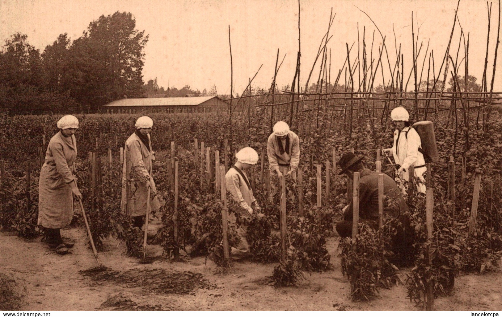 BERLAER LEZ LIERRE / ECOLE NORMALE SUPERIEURE D'ECONOMIE RURALE - LECON D'HORTICULTURE - Berlaar